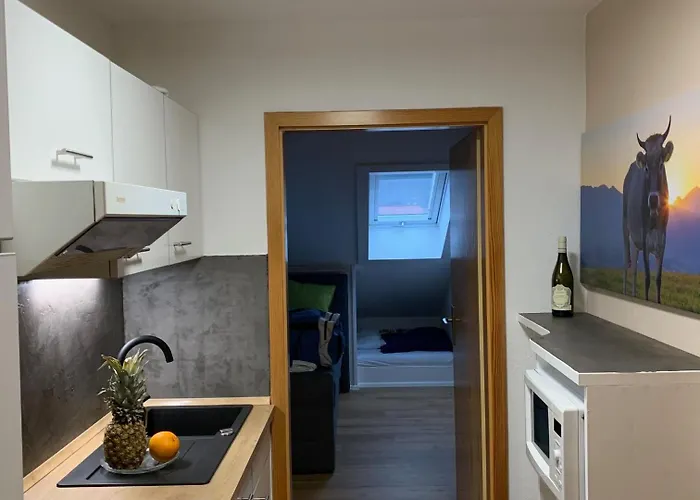 Apartman Steigmuehlenweg *