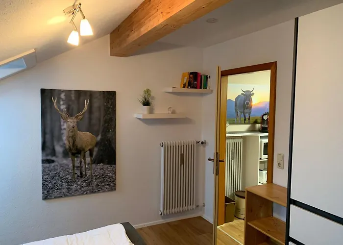 Steigmuehlenweg Apartman *