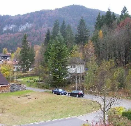 Apartament Steigmuehlenweg *