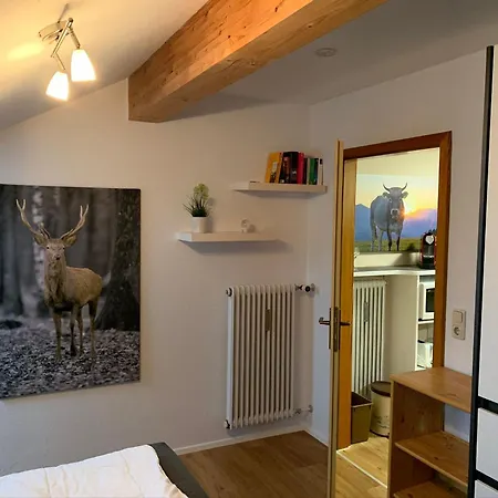 Steigmuehlenweg Apartament *